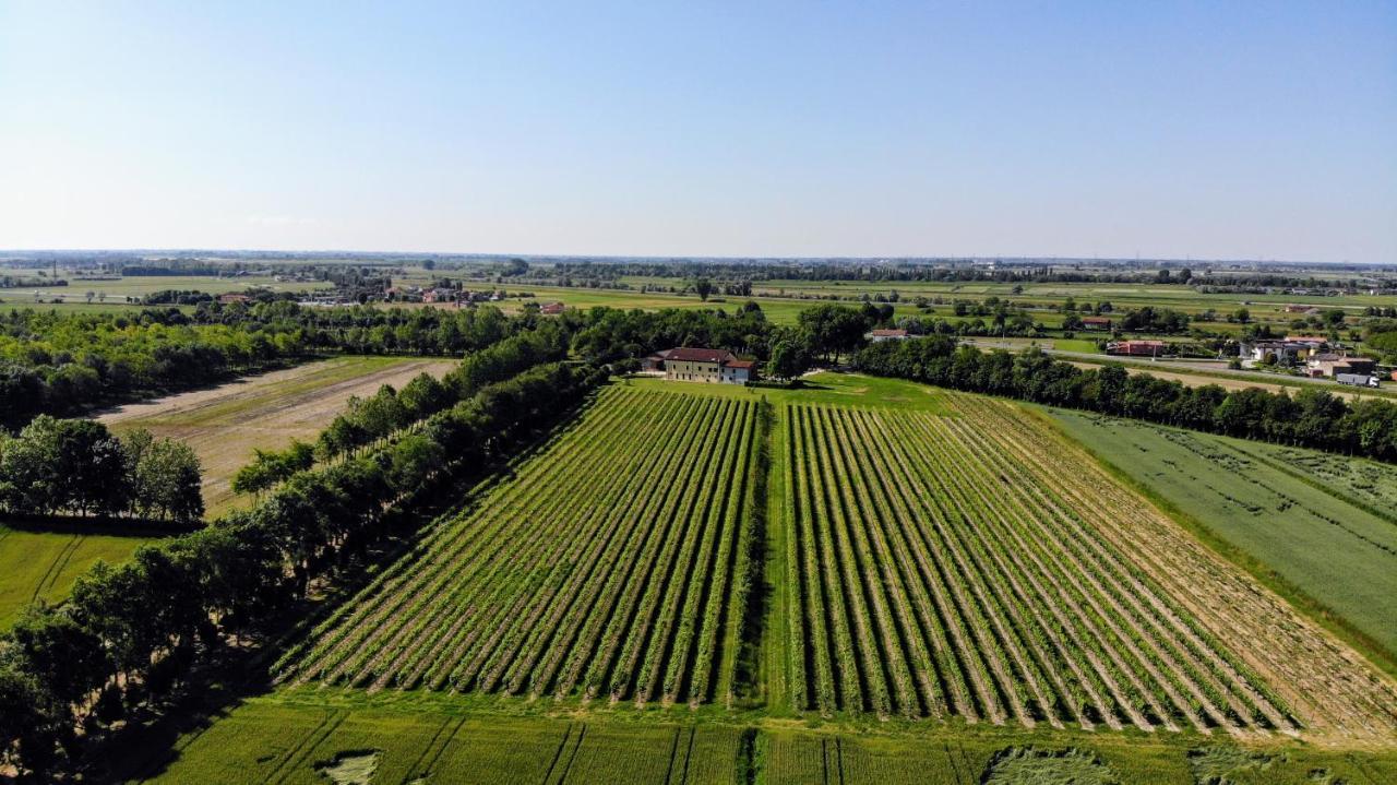 Agriturismo Ae Cavane Codevigo المظهر الخارجي الصورة