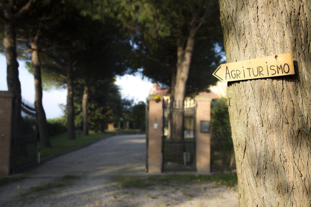 Agriturismo Ae Cavane Codevigo المظهر الخارجي الصورة